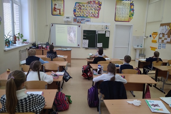 Младшие школьники узнали о растениях болот