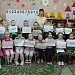 Лебединая сказка