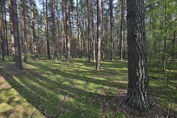 В Рязанской области отменили особый противопожарный режим!
