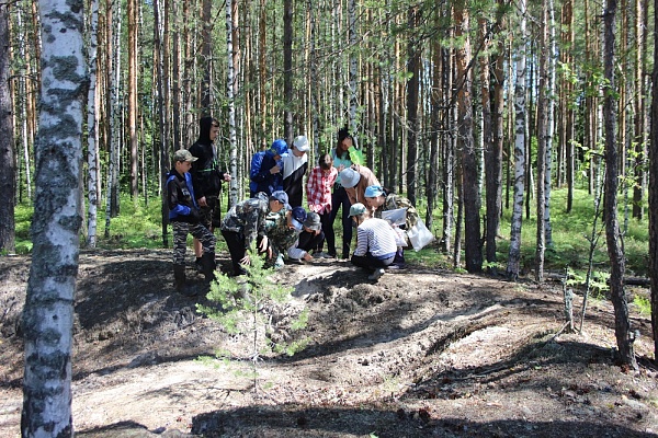 ЛЕТО ВЗЯЛО В РУКИ КРАСКИ…