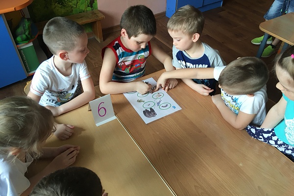 «В гостях у природы...»
