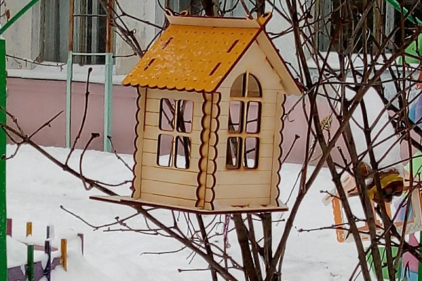 БОЛЕЕ 4,5 ТЫСЯЧ ЧЕЛОВЕК ПОМОГЛИ ПТИЦАМ ЭТОЙ ЗИМОЙ