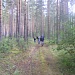 В НАЦИОНАЛЬНОМ ПАРКЕ «МЕЩЕРА» ЗАВЕРШИЛА РАБОТУ МЕЖРЕГИОНАЛЬНАЯ «ШКОЛА ПРИРОДЫ»-2018