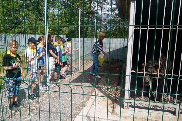 Пришкольный лагерь в гостях у национального парка "Мещерский"