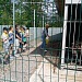 Пришкольный лагерь в гостях у национального парка "Мещерский"