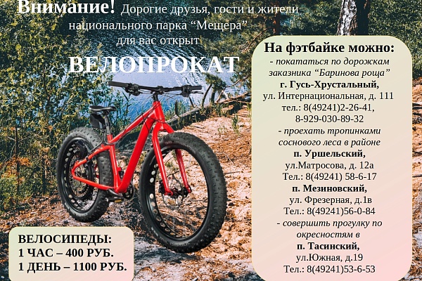 Платные услуги 