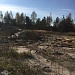 ОСТАЁТСЯ ПОМЕНЯТЬ СОЗНАНИЕ ЛЮДЕЙ