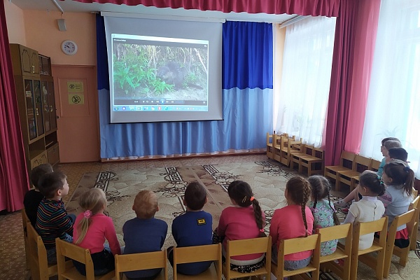 Умелые строители