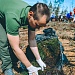 Подари лес другу
