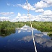 БОЛОТА СПАСАЮТ ОТ ПОЖАРОВ