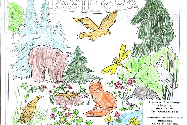 Итоги Занимательного задания №1 