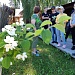 ЛЕТО ВЗЯЛО В РУКИ КРАСКИ…