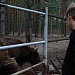 ВОЛОНТЕРЫ В НАЦИОНАЛЬНОМ ПАРКЕ «МЕЩЕРА»
