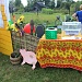 ДЕНЬ ПОСЁЛКА МЕЗИНОВСКИЙ