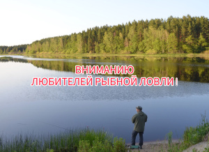 Внимание, рыболовы! Ваши правила для успешной и законной рыбалки в Национальном парке «Мещерский»! С 1 апреля 2026 года начинает действовать запрет на рыбную ловлю в период нереста.
