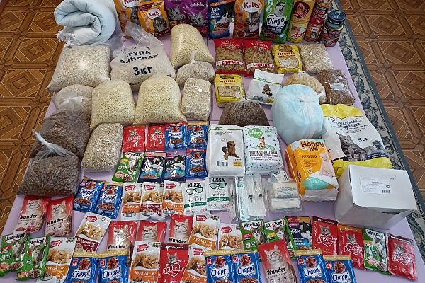 Волонтерская акция "Не проходите мимо"