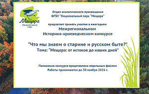 Дистанционное занятие Дистанционное занятие