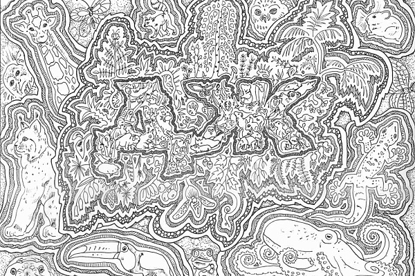 Авторские раскраски от парка "Мещёра"