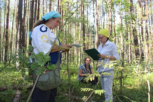 Изучение ландшафтов