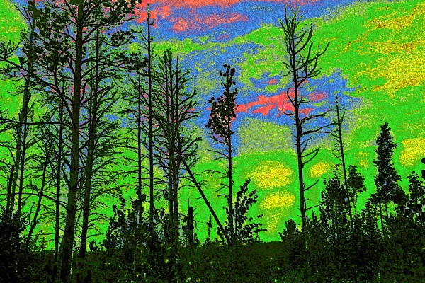 Фотовыставка В.Фролова "Пейзажи Мещеры"