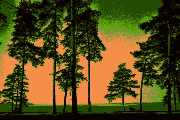 Фотовыставка В.Фролова "Пейзажи Мещеры"