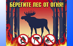 Начало пожароопасного сезона на территории НП Мещера