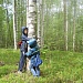 Весенние сюрпризы для внимательных