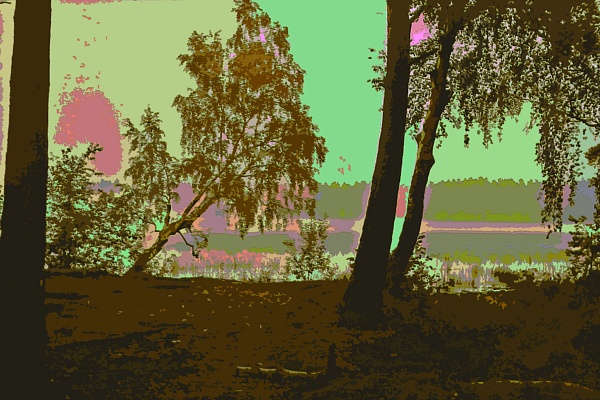 Фотовыставка В.Фролова "Пейзажи Мещеры"