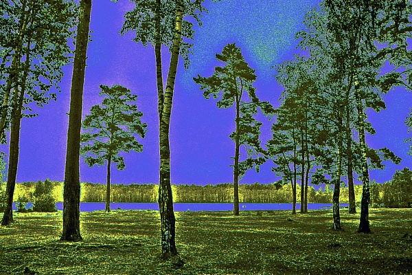 Фотовыставка В.Фролова "Пейзажи Мещеры"