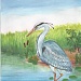 Марш парков — 2017