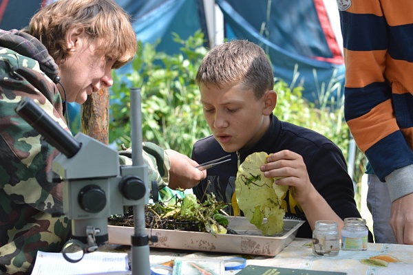 Деятельность по экологическому просвещению