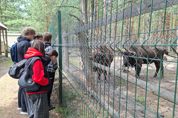 В гости к лесному великану