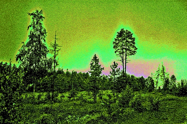 Фотовыставка В.Фролова "Пейзажи Мещеры"