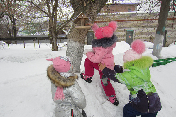 Итоги акции «Помоги птицам!» - 2026