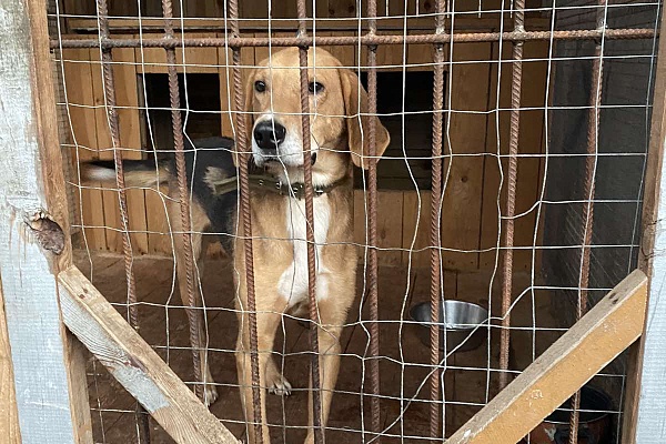 Волонтерская акция "Не проходите мимо"