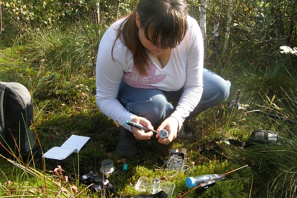 Мониторинг болот