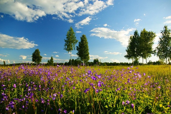 Красоты парка "Мещёра"