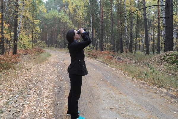 Осенние учеты в лесах