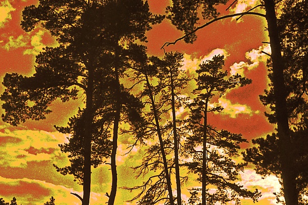 Фотовыставка В.Фролова "Пейзажи Мещеры"