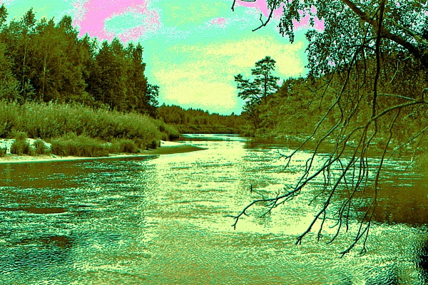 Фотовыставка В.Фролова "Пейзажи Мещеры"