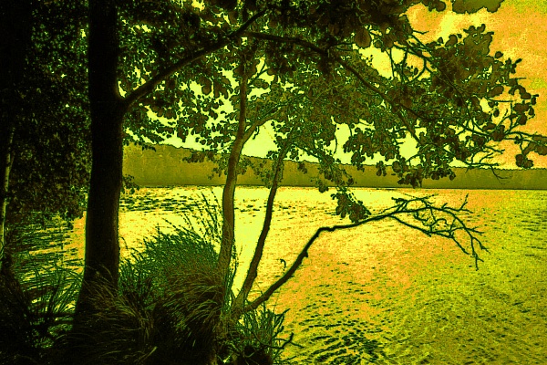 Фотовыставка В.Фролова "Пейзажи Мещеры"