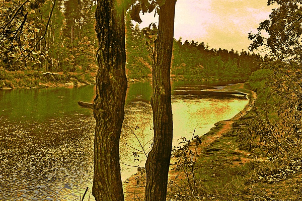 Фотовыставка В.Фролова "Пейзажи Мещеры"