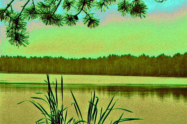 Фотовыставка В.Фролова "Пейзажи Мещеры"