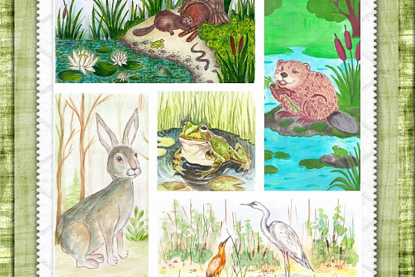 Болотные истории