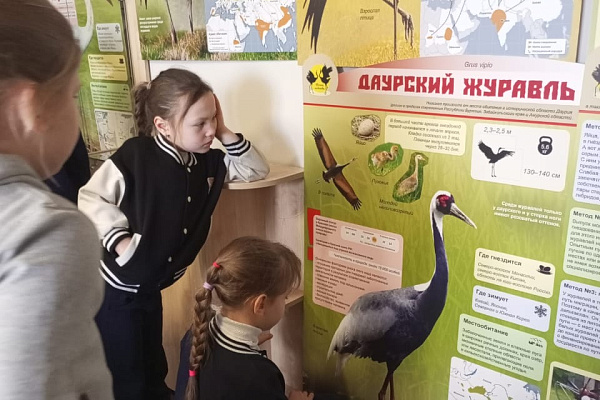 «Танец надежды»: Выставка о журавлях в Спас-Клепиках!