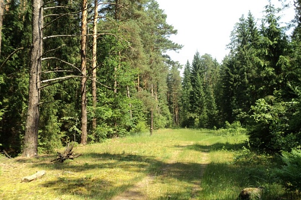 Красоты парка "Мещёра"