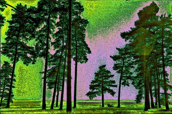 Фотовыставка В.Фролова "Пейзажи Мещеры"