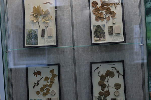 Юные креативщики посетили визит-центр национального парка «Мещера»