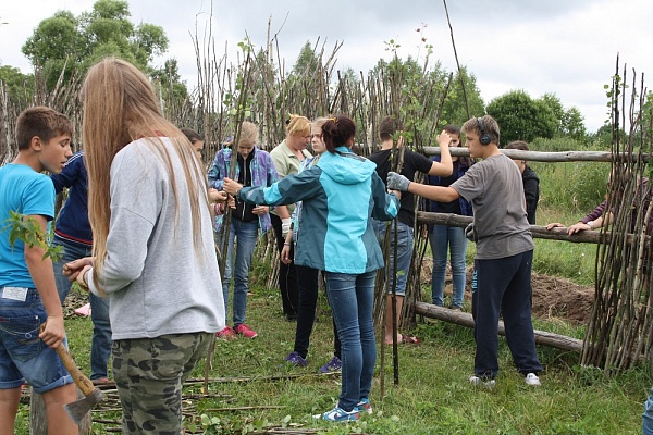 Деятельность по экологическому просвещению