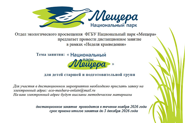 Дистанционное занятие 